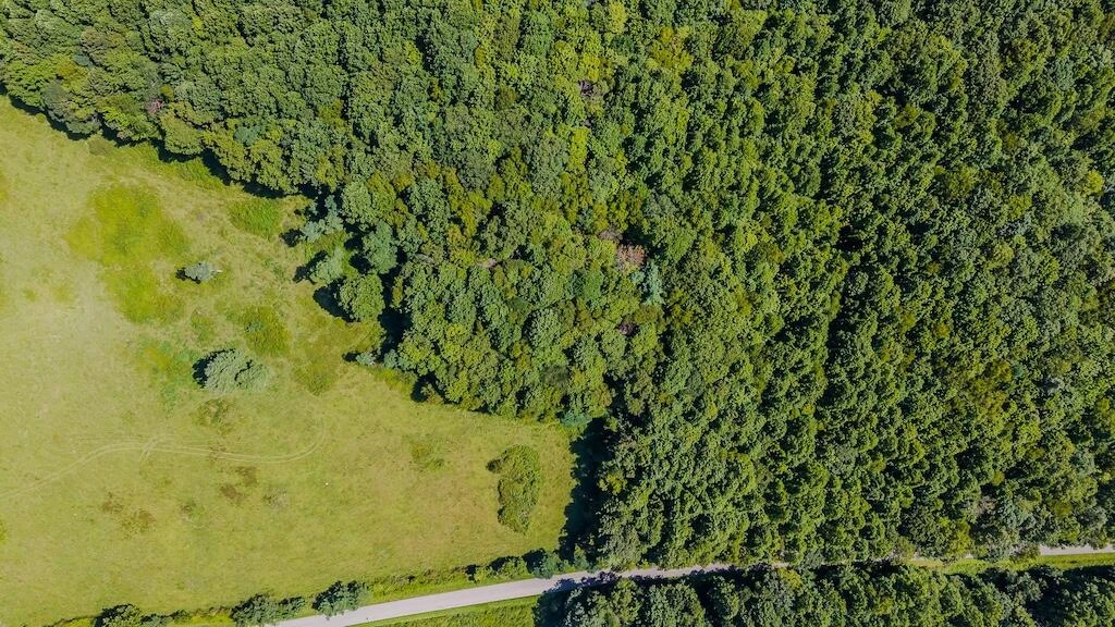 Lot 2 Phadettia RD - Photo 7