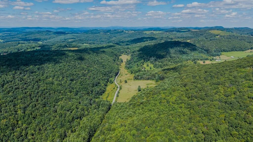 Lot 2 Phadettia RD - Photo 8