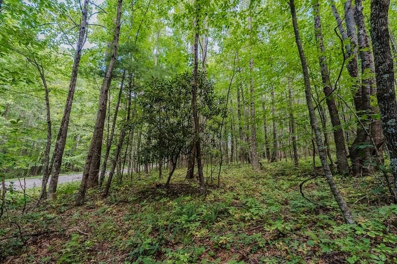 Lot 3 Phadettia RD - Photo 10