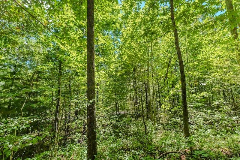 Lot 3 Phadettia RD - Photo 3