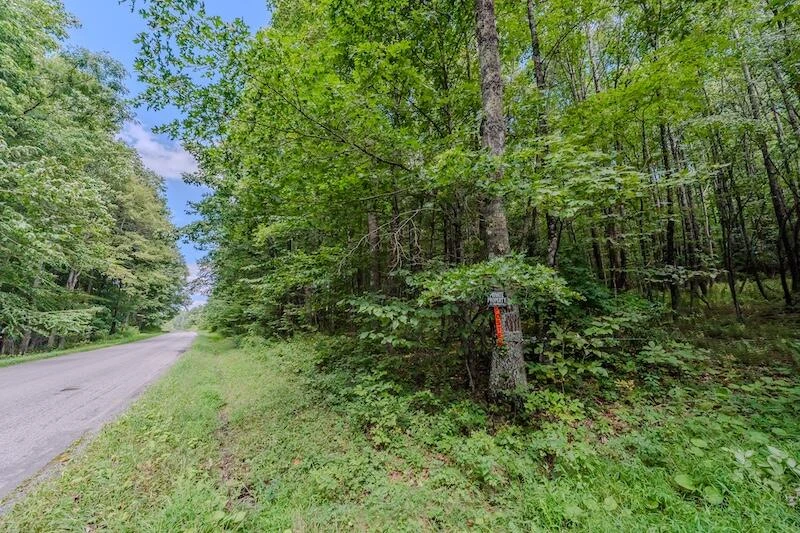 Lot 3 Phadettia RD - Photo 5