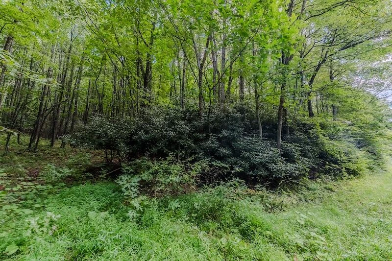 Lot 3 Phadettia RD - Photo 6