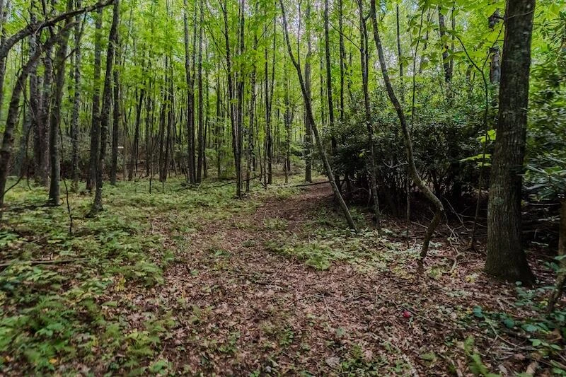 Lot 3 Phadettia RD - Photo 7