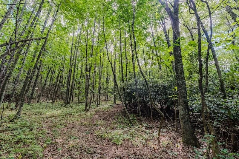 Lot 3 Phadettia RD - Photo 8