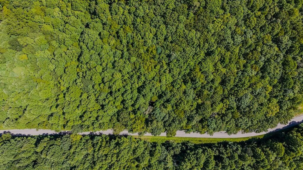 Lot 4 Phadettia RD - Photo 3