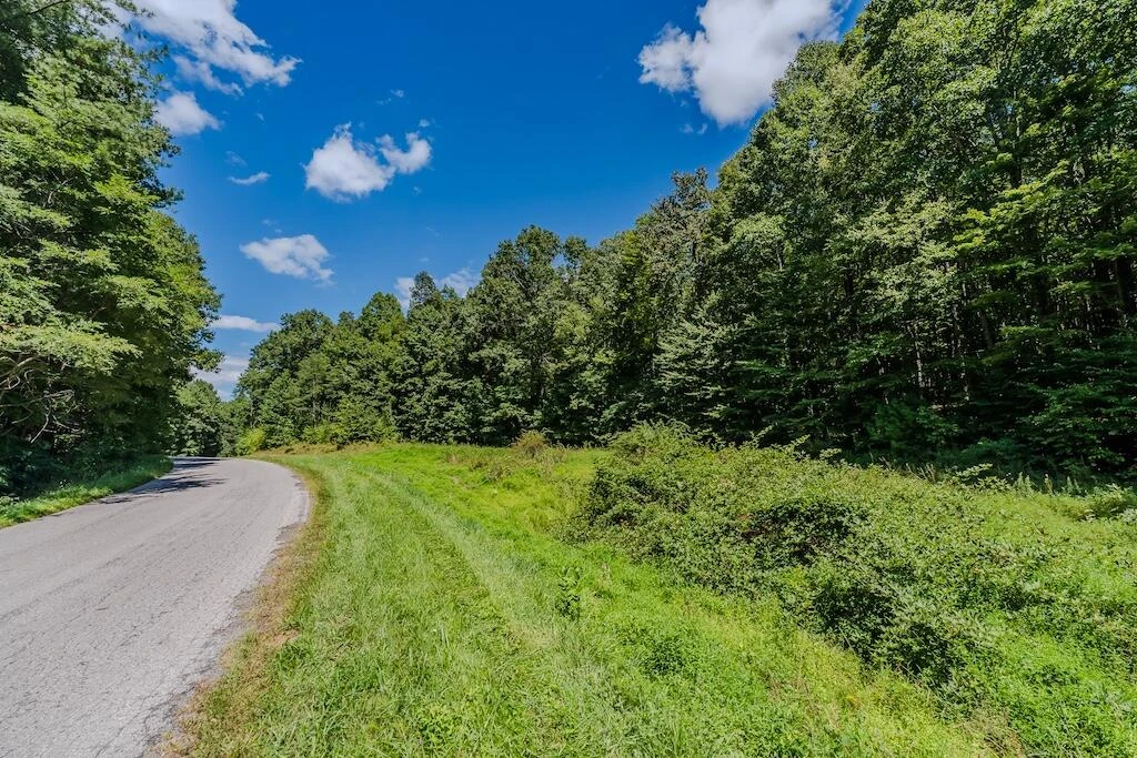 Lot 4 Phadettia RD - Photo 5