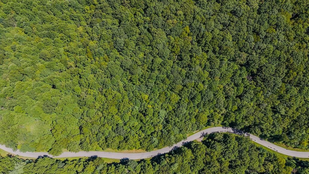 Lot 5 Phadettia RD - Photo 2