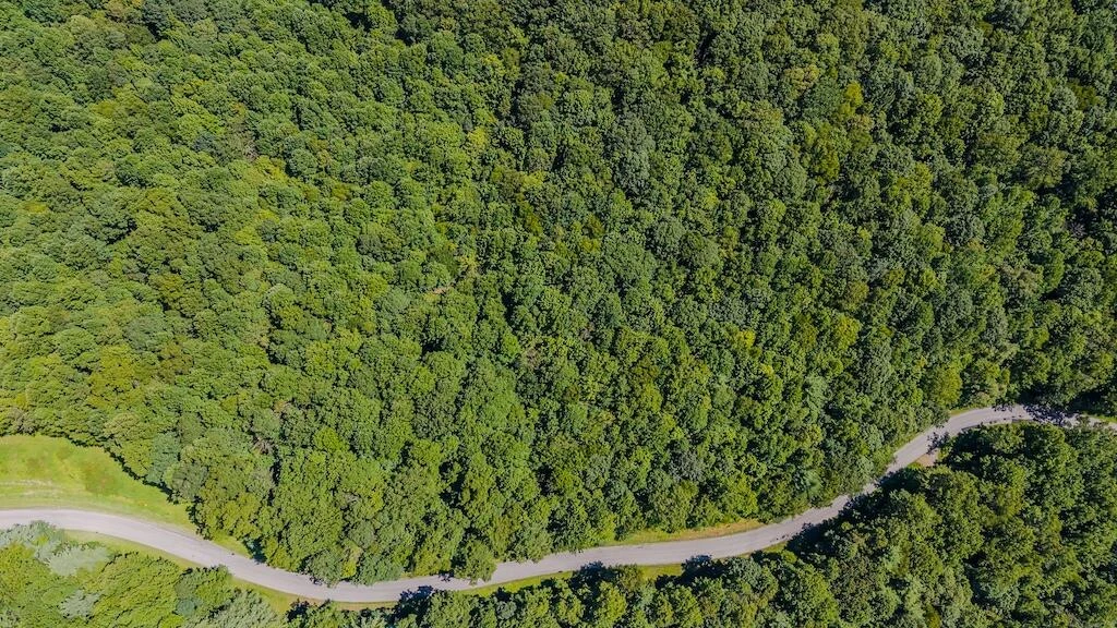 Lot 5 Phadettia RD - Photo 3
