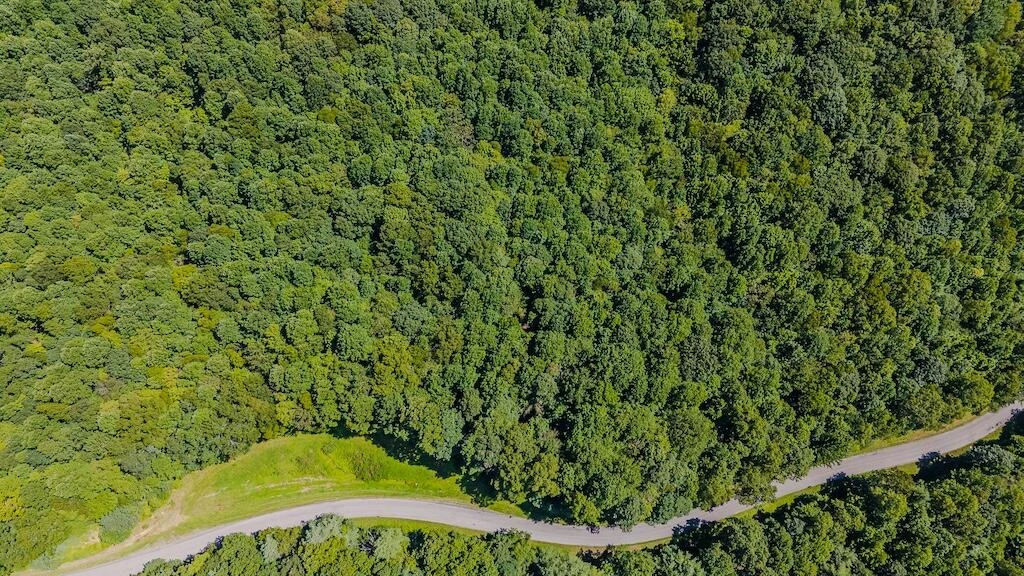 Lot 5 Phadettia RD - Photo 4