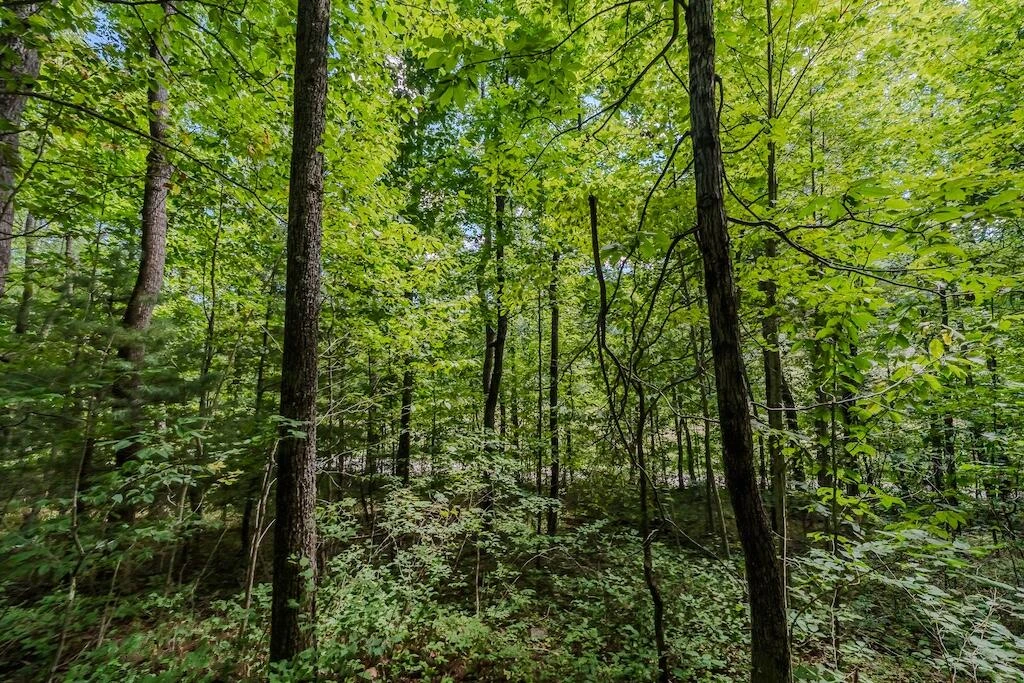 Lot 5 Phadettia RD - Photo 5