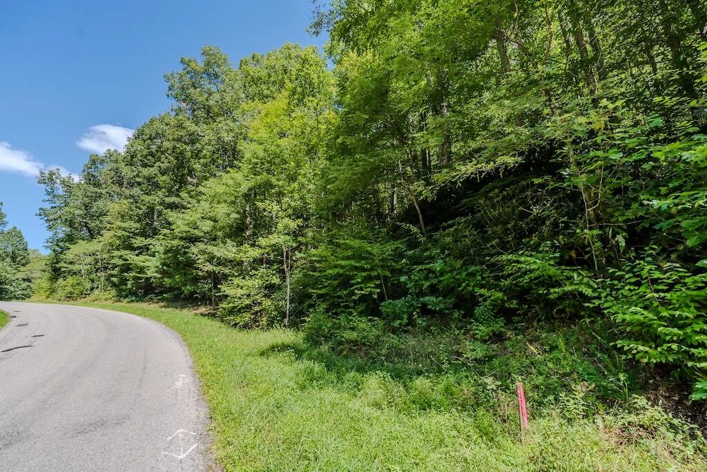 Lot 5 Phadettia RD - Photo 6