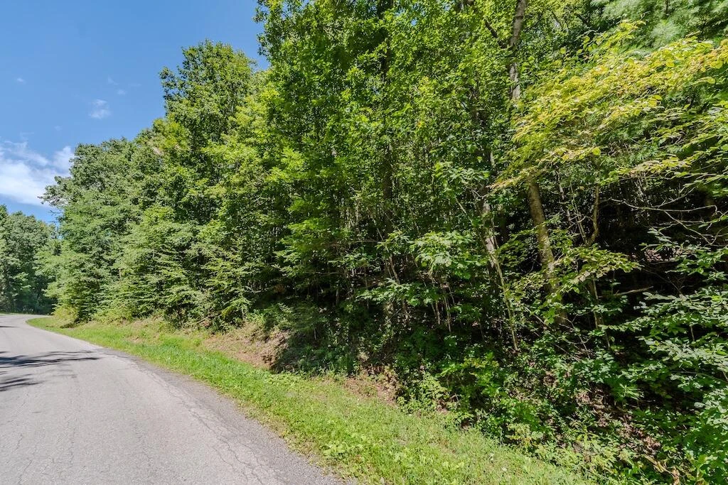 Lot 5 Phadettia RD - Photo 7