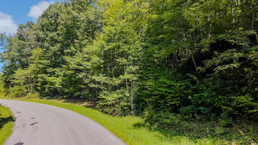 Lot 6 Phadettia RD - Photo 2