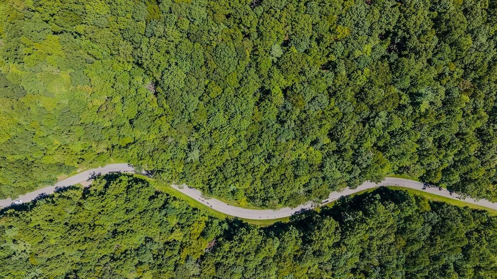 Lot 6 Phadettia RD - Photo 3