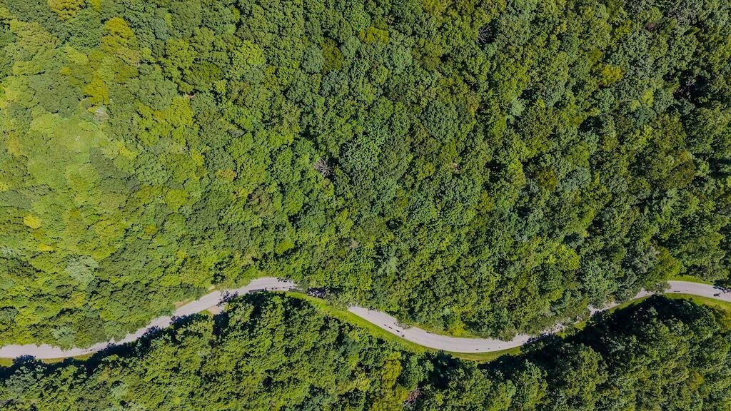 Lot 6 Phadettia RD - Photo 4