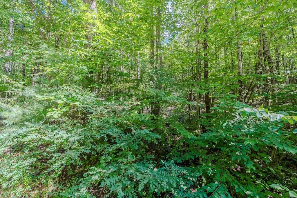 Lot 6 Phadettia RD - Photo 5