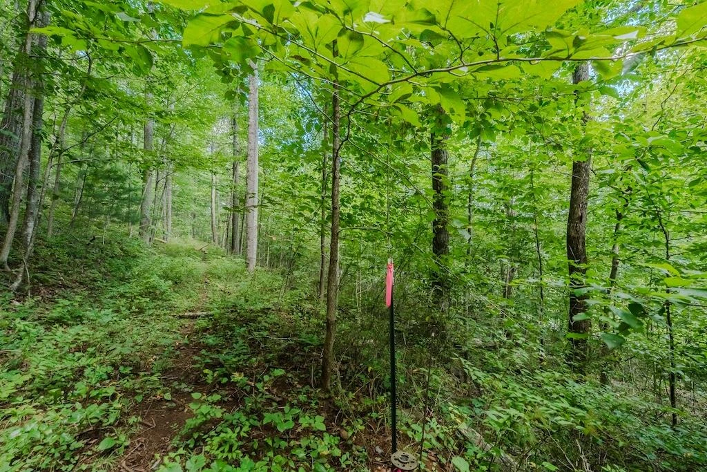Lot 7 Phadettia RD - Photo 10