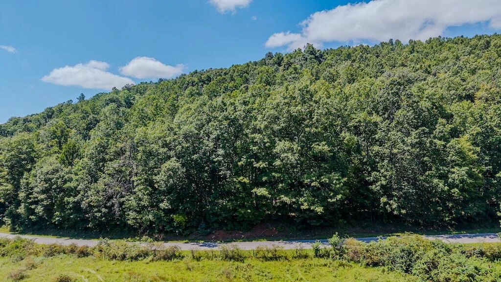 Lot 7 Phadettia RD - Photo 2