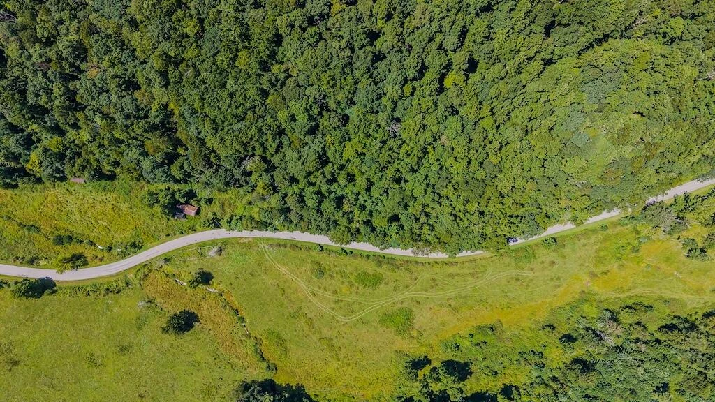 Lot 7 Phadettia RD - Photo 4