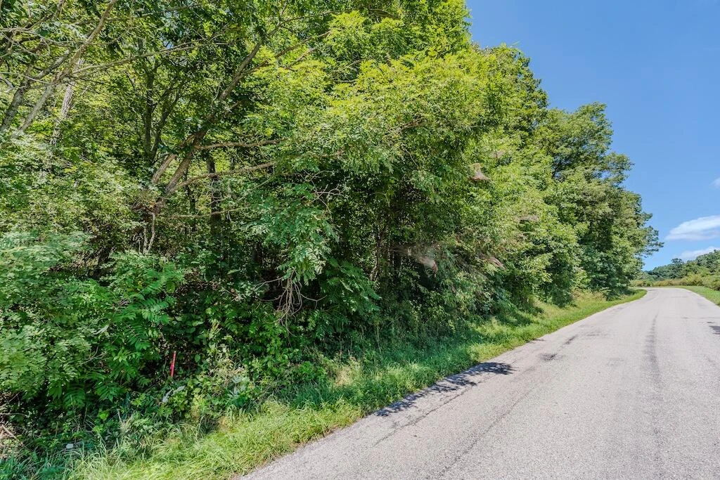 Lot 7 Phadettia RD - Photo 5