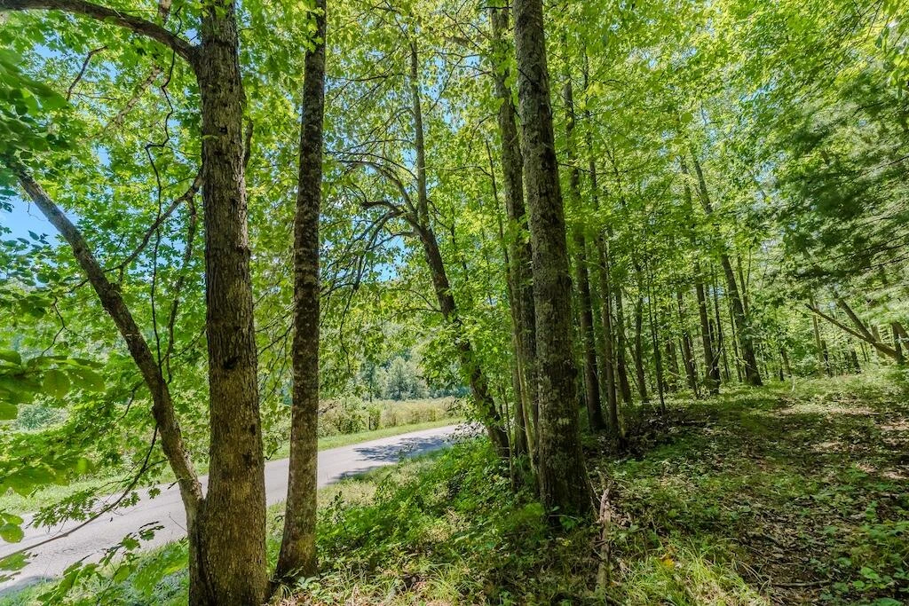Lot 7 Phadettia RD - Photo 7