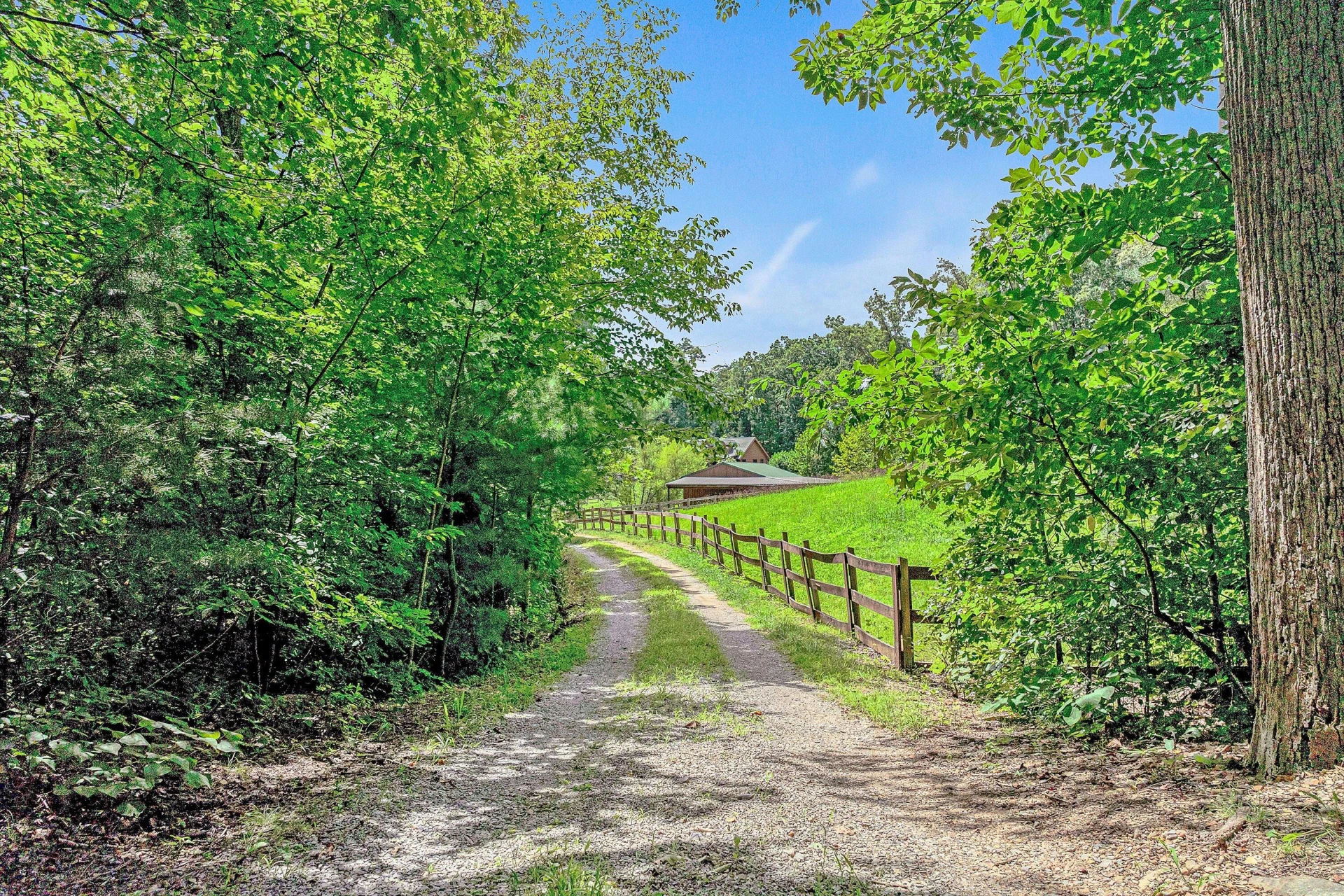 4630 Deer Trail DR - Photo 58