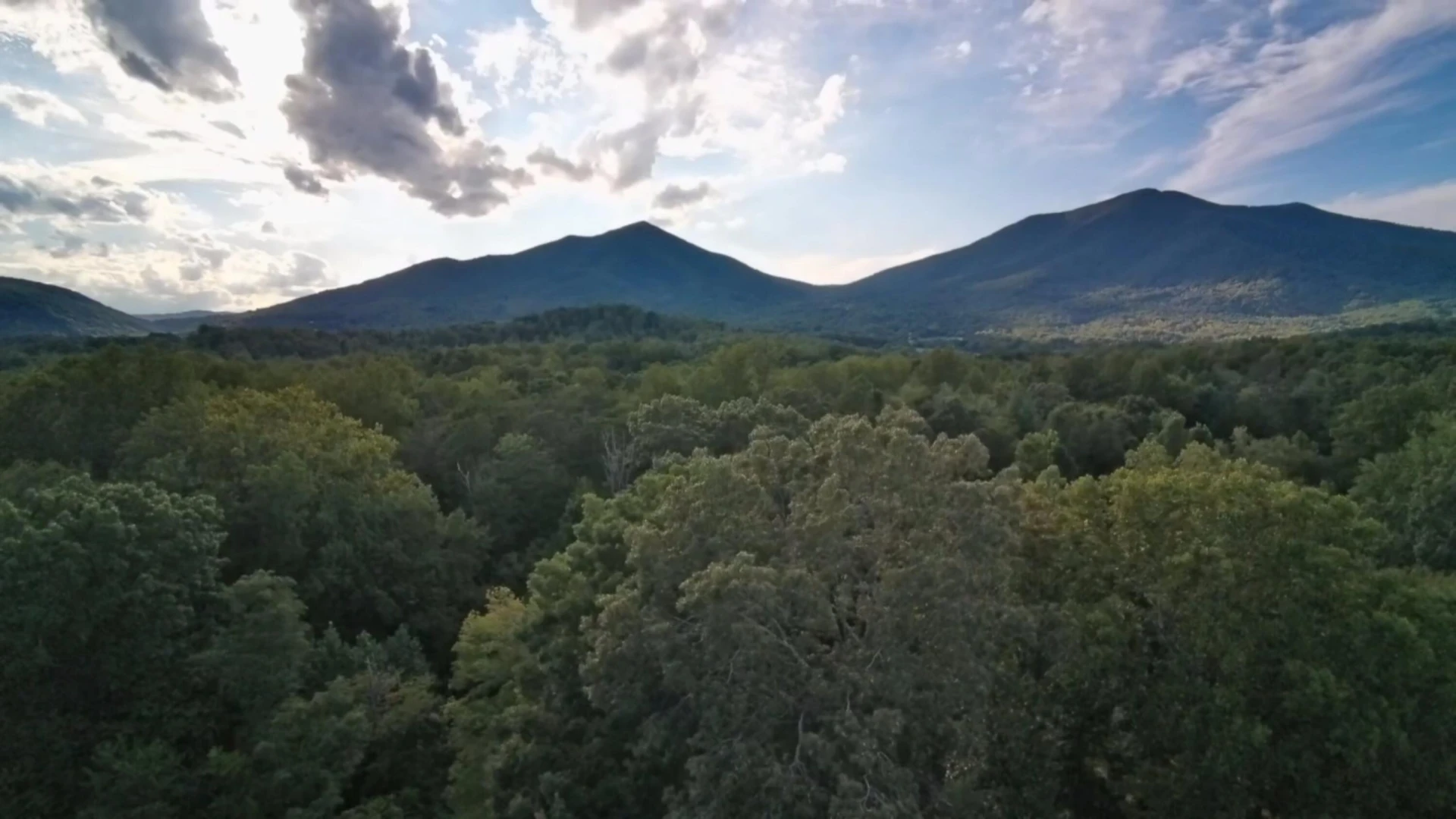 7835 Wheats Valley RD - Photo 18