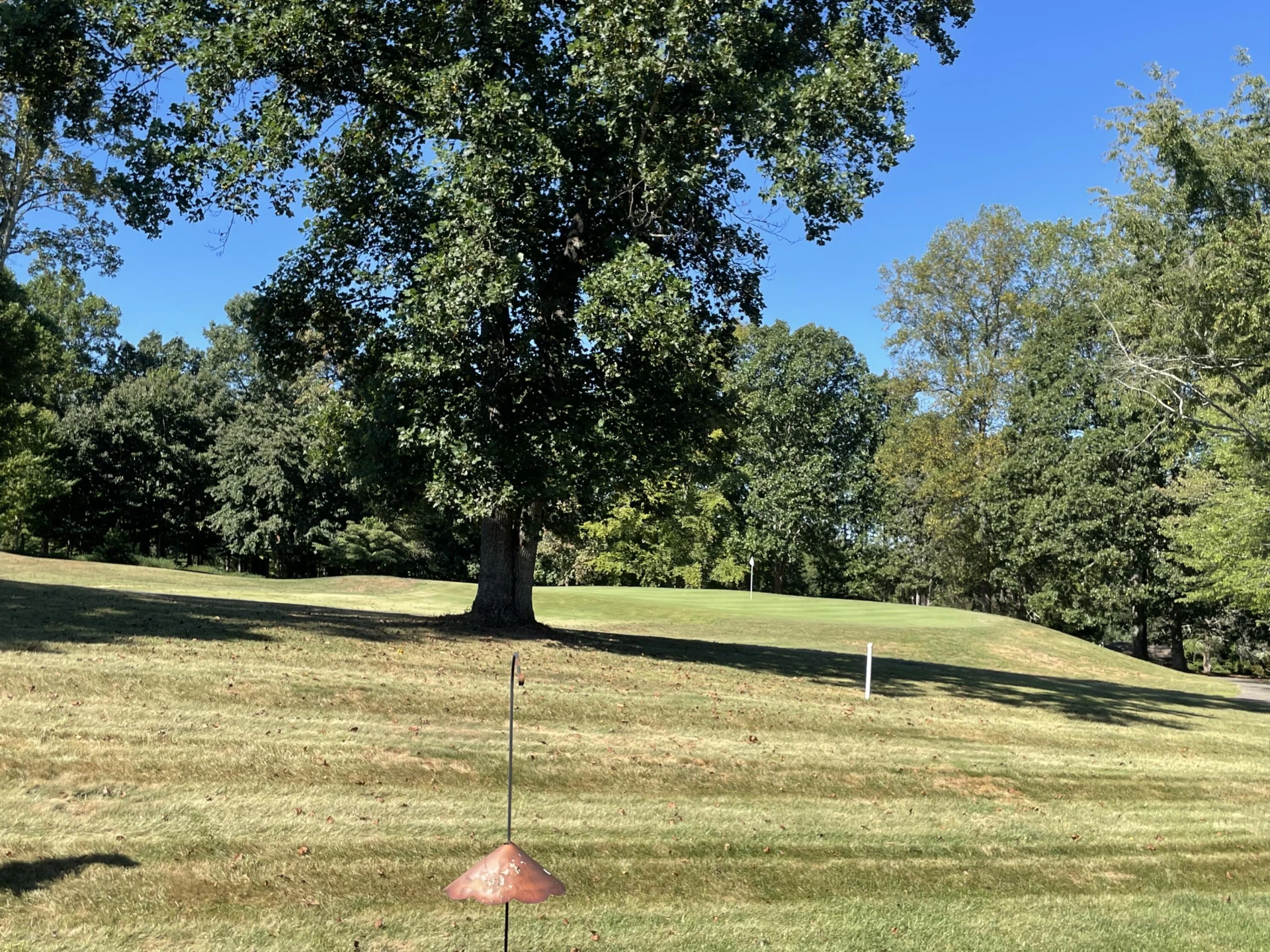 14 Golf Villa DR - Photo 17