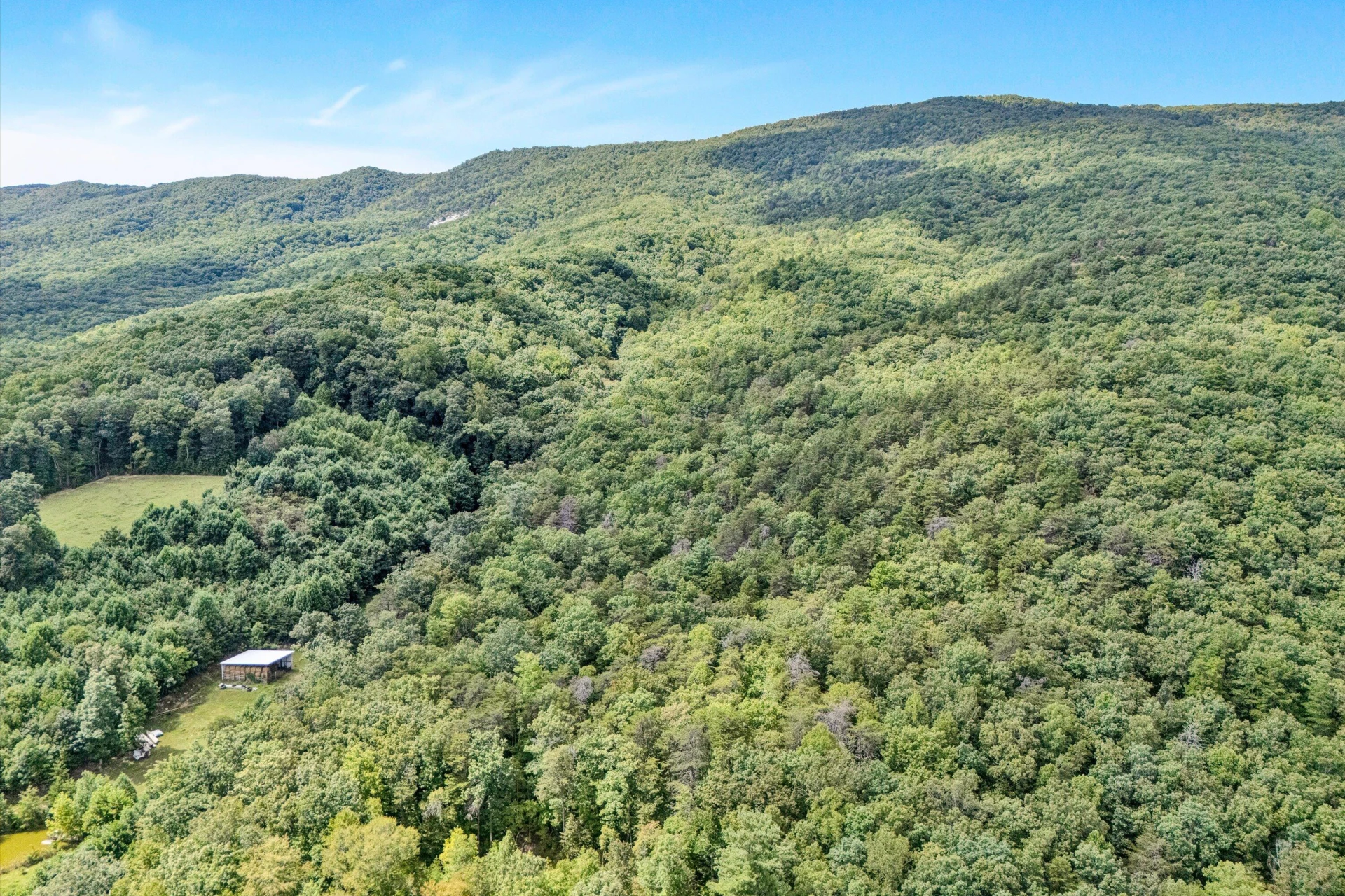 228 Artesian LN - Photo 69