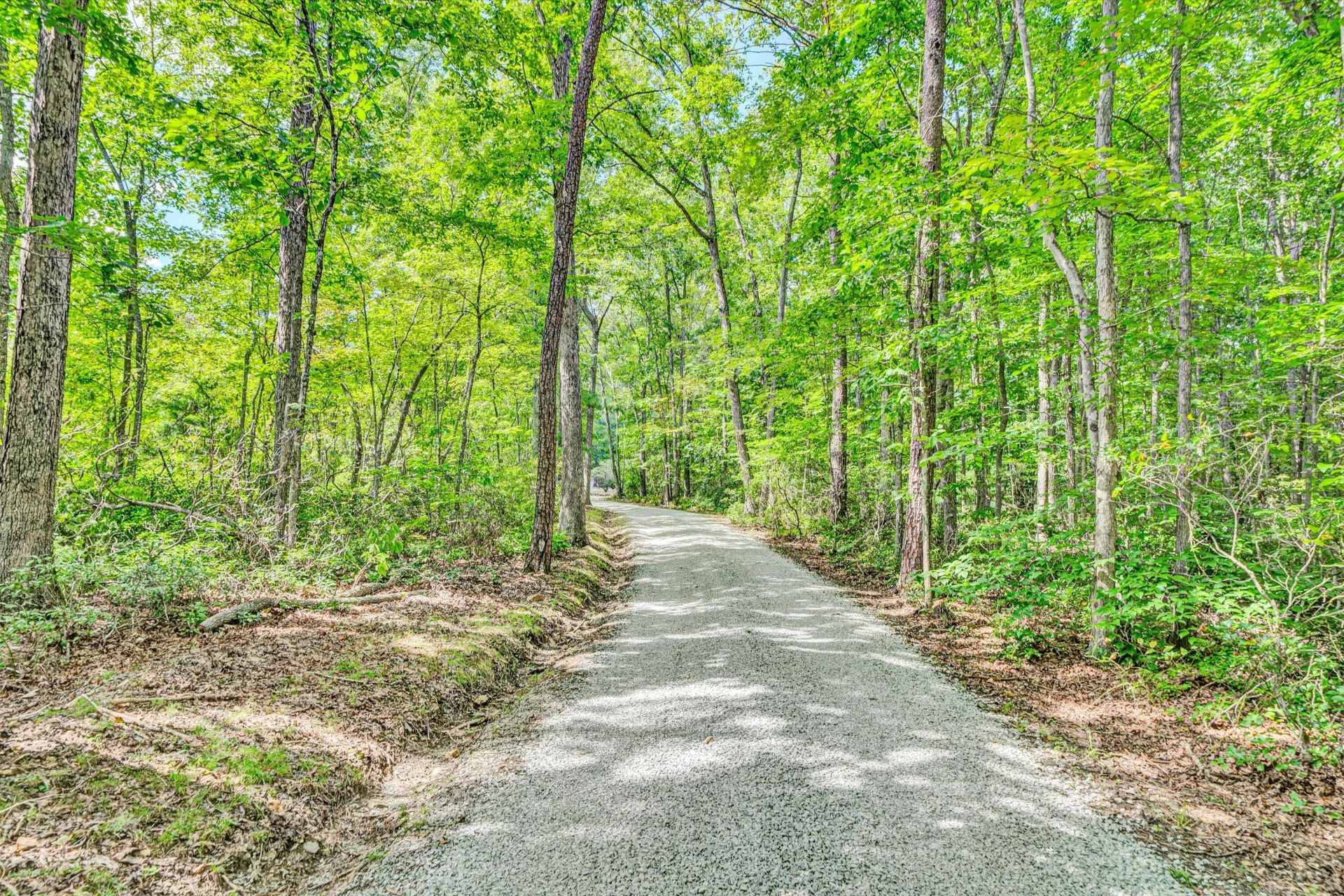 228 Artesian LN - Photo 81