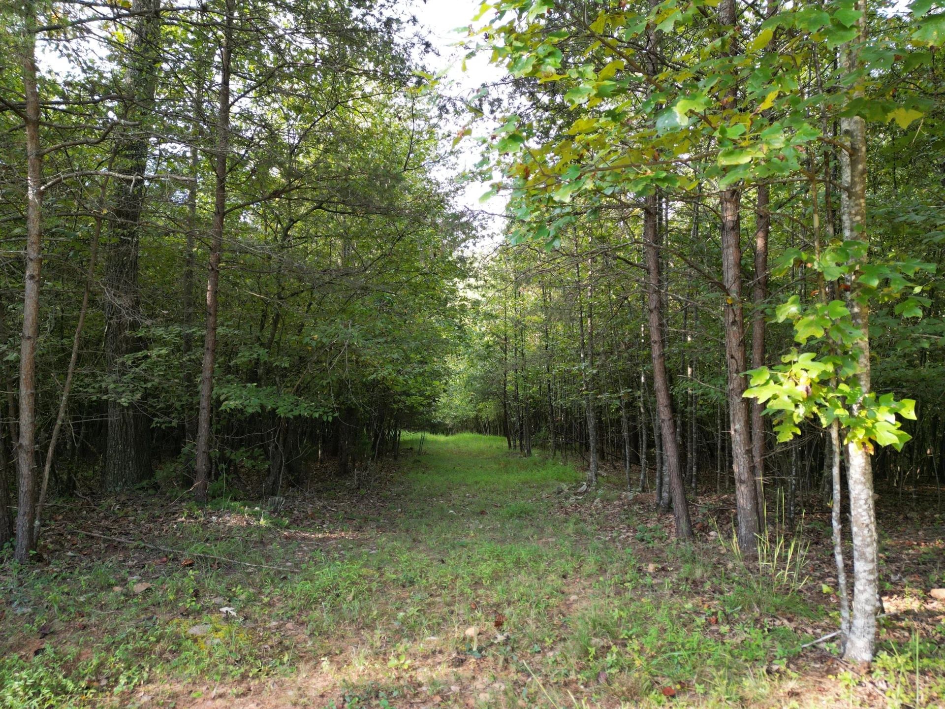 00 CONSTITUTION BLVD - Photo 20