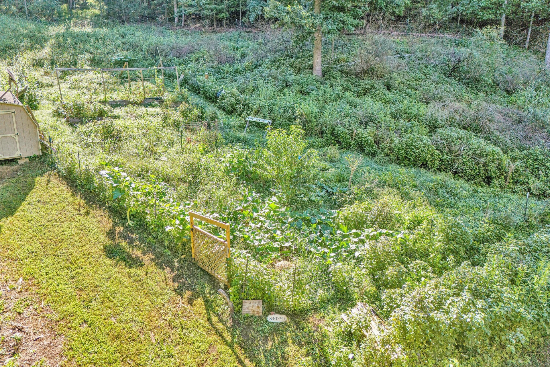 4152 Carr Rouse RD - Photo 37