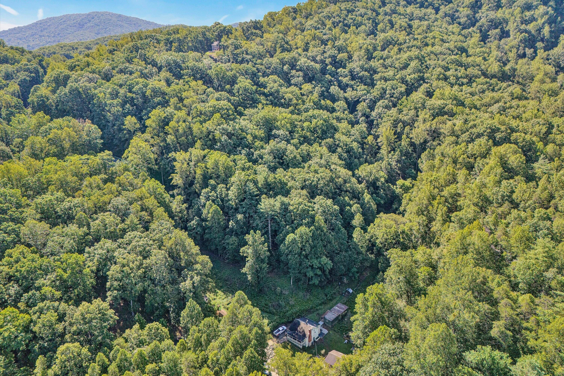 4152 Carr Rouse RD - Photo 39