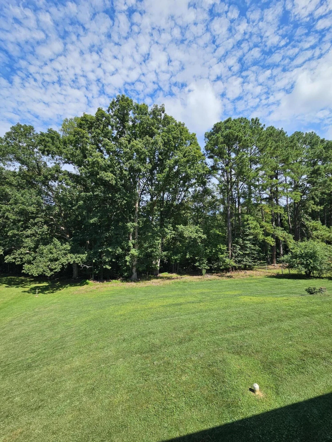 3881 Smith Mountain Lake PKWY - Photo 44