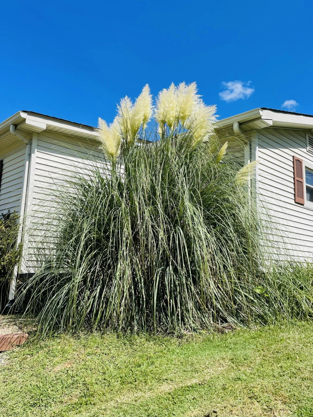 1035 Oyler RD - Photo 33