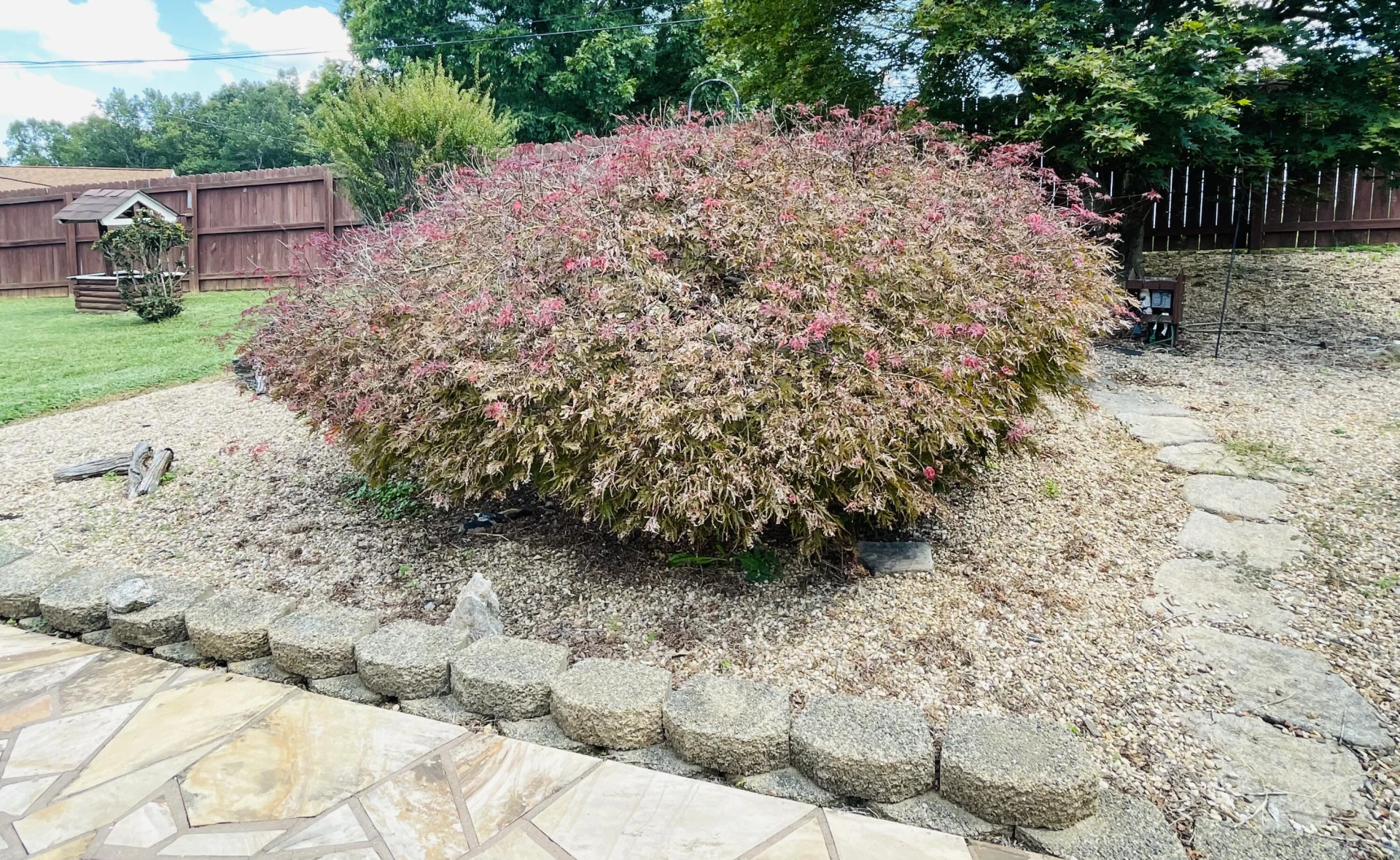 1035 Oyler RD - Photo 36