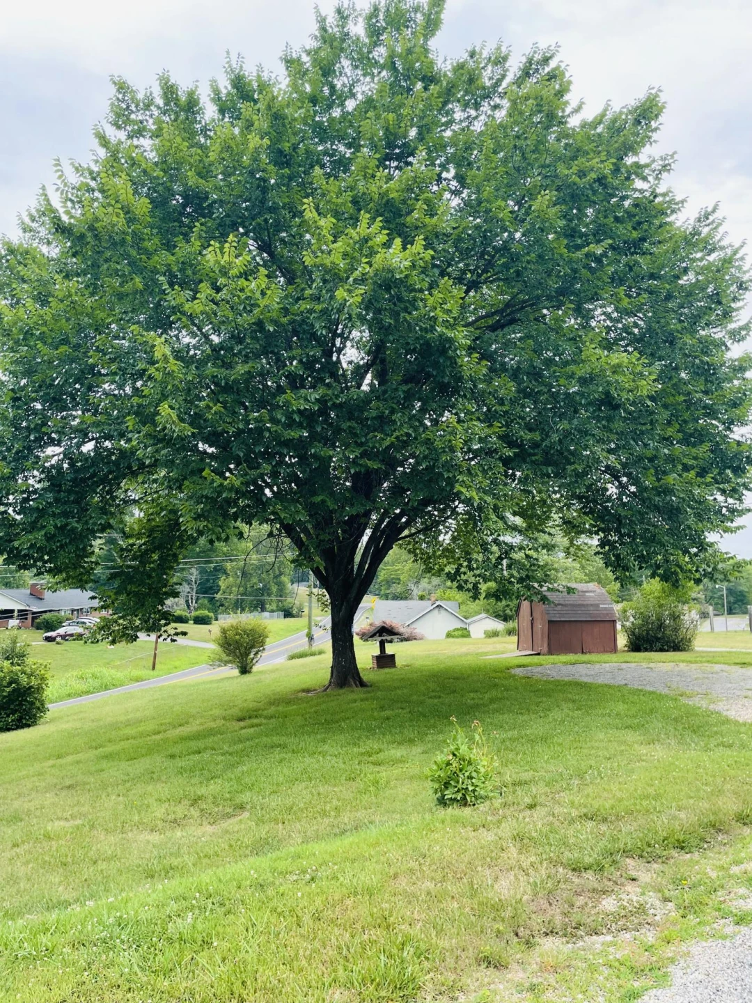 1035 Oyler RD - Photo 62
