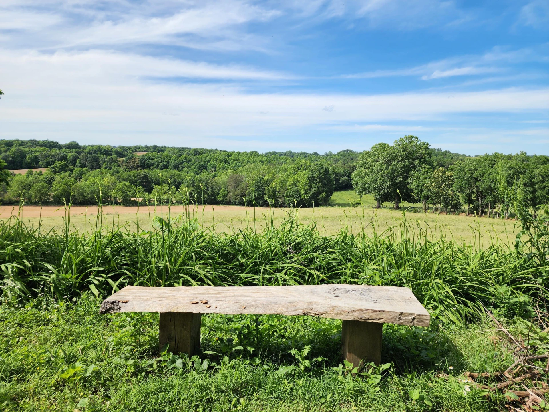 1199 Muse Field RD - Photo 40
