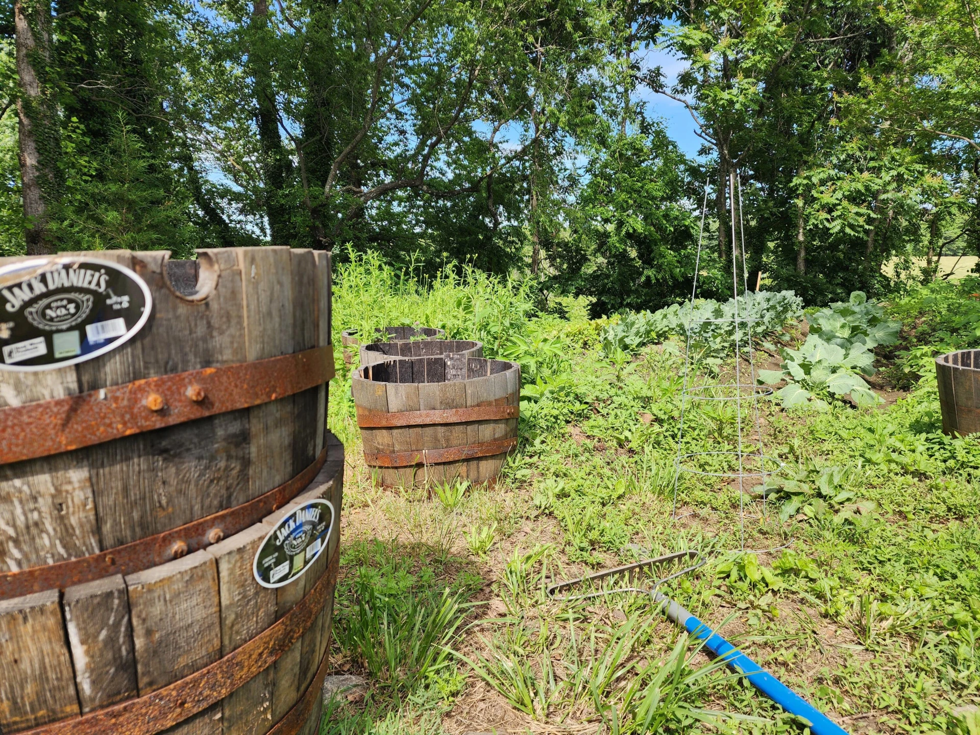 1199 Muse Field RD - Photo 42