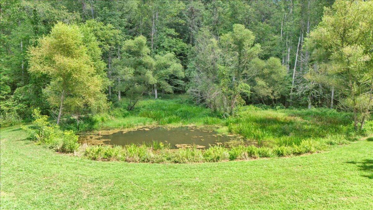 2011 Deepwoods RD - Photo 3