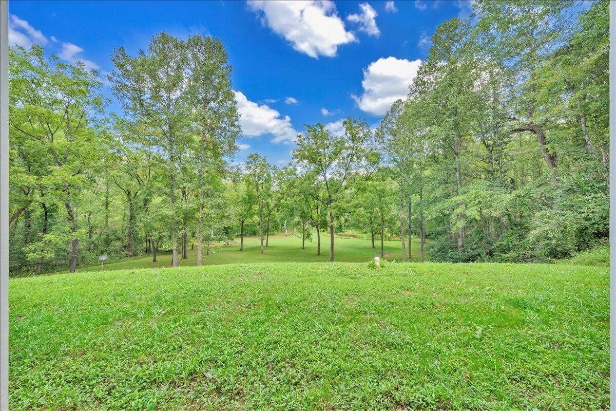 2011 Deepwoods RD - Photo 51