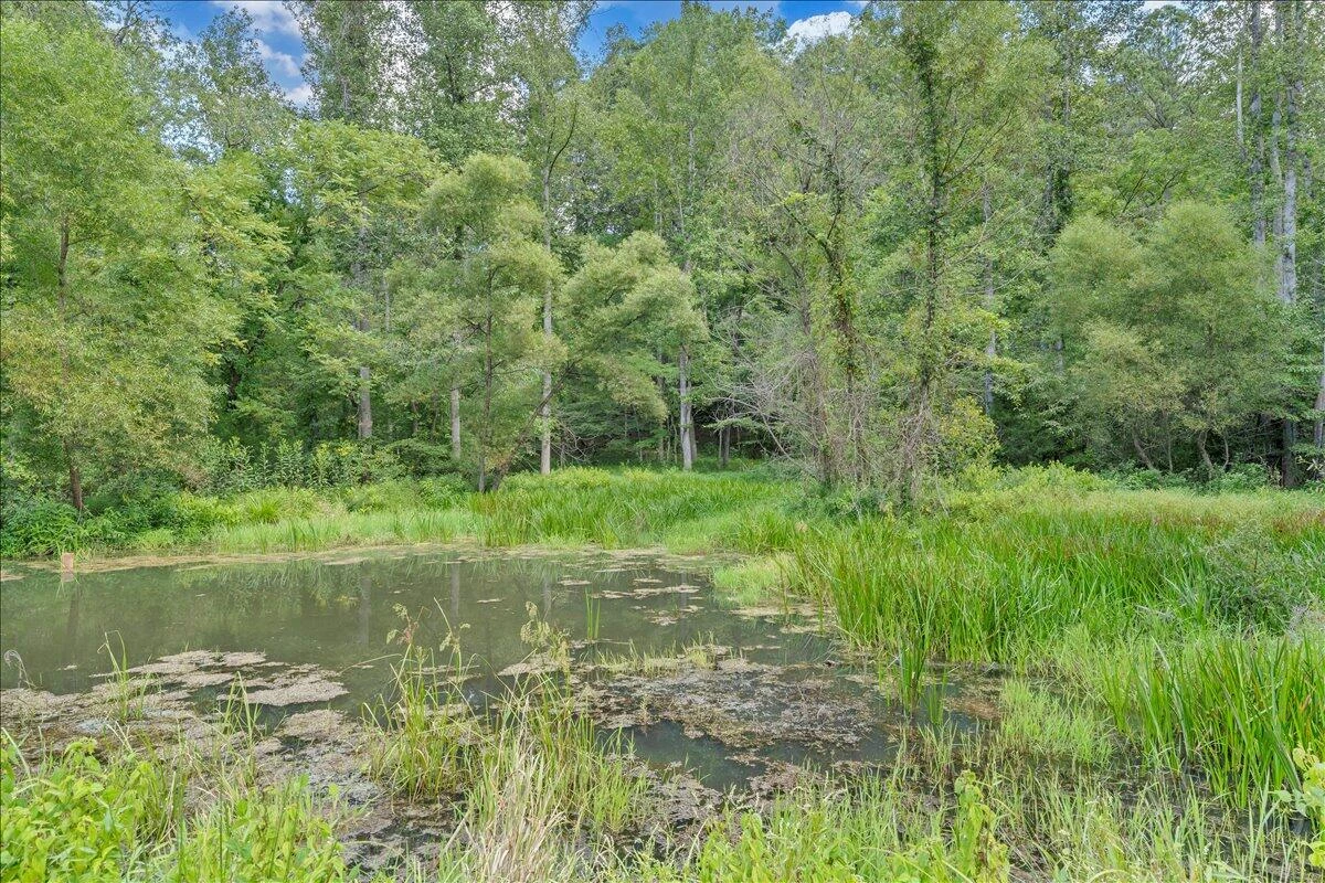 2011 Deepwoods RD - Photo 67
