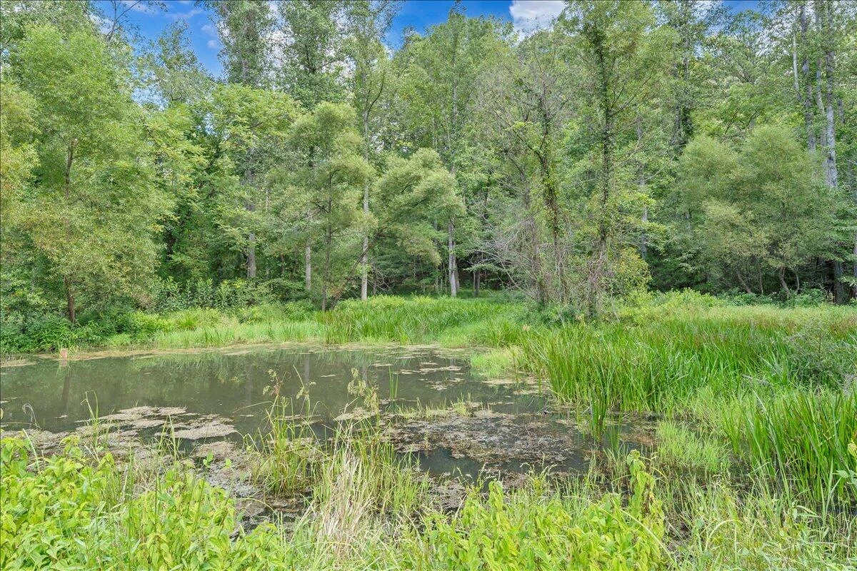 2011 Deepwoods RD - Photo 68