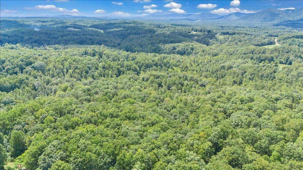 2011 Deepwoods RD - Photo 88
