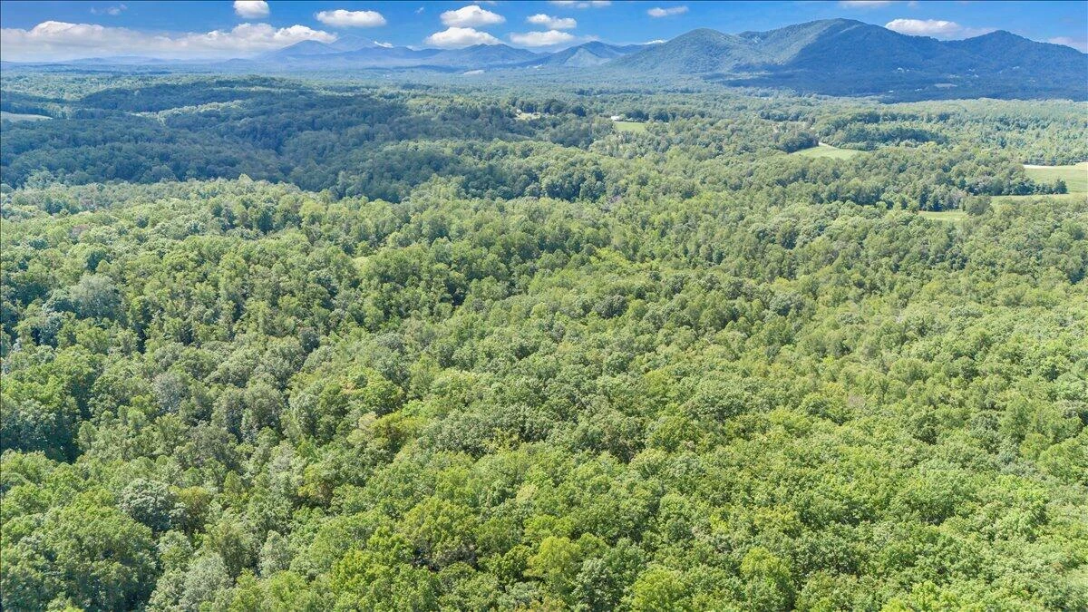 2011 Deepwoods RD - Photo 89