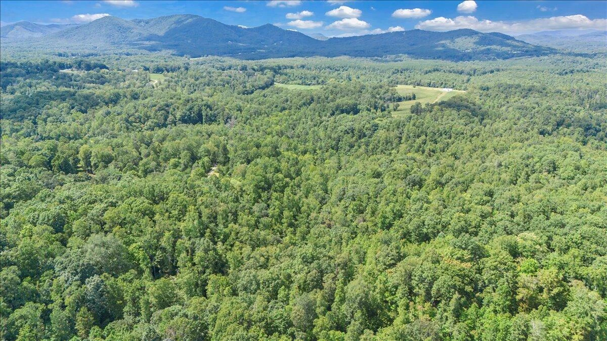 2011 Deepwoods RD - Photo 90