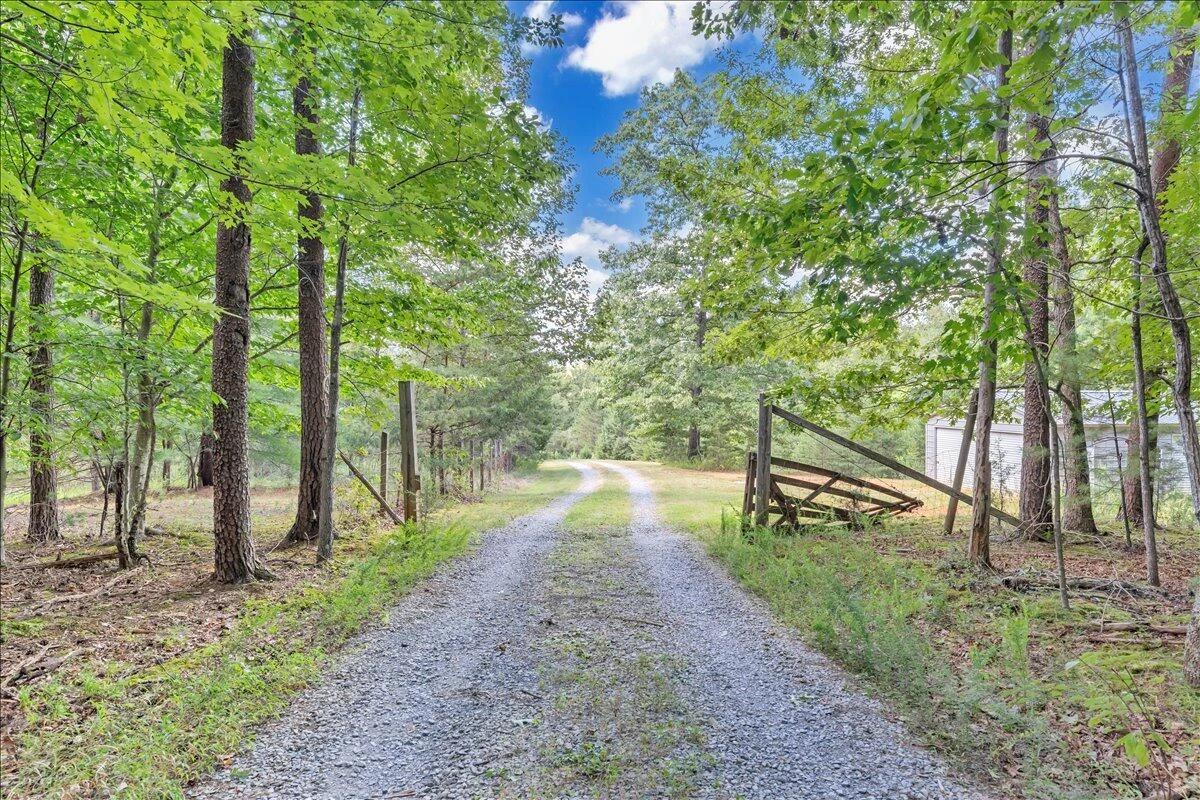 2011 Deepwoods RD - Photo 94