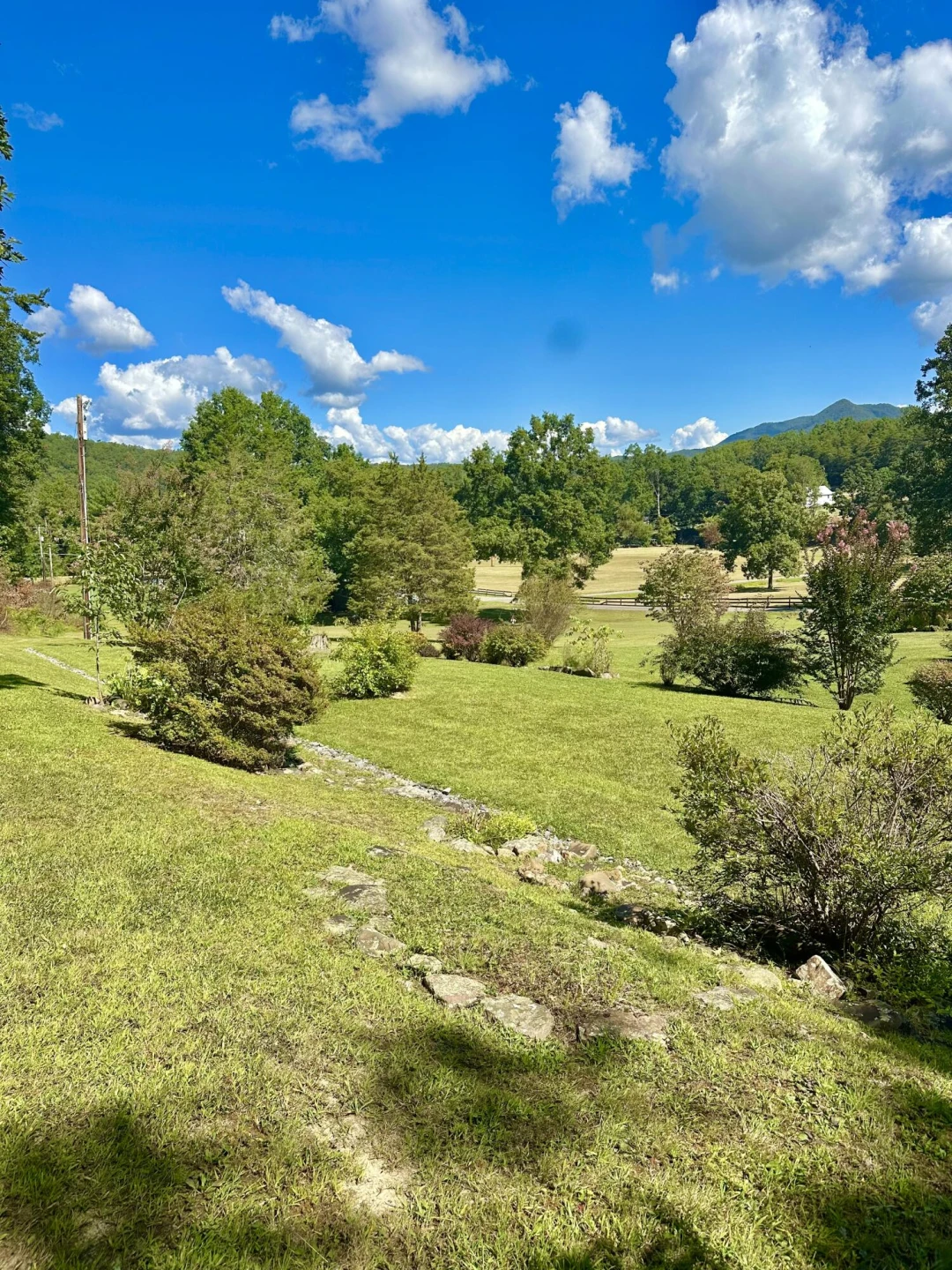 4801 Nicelytown RD - Photo 11