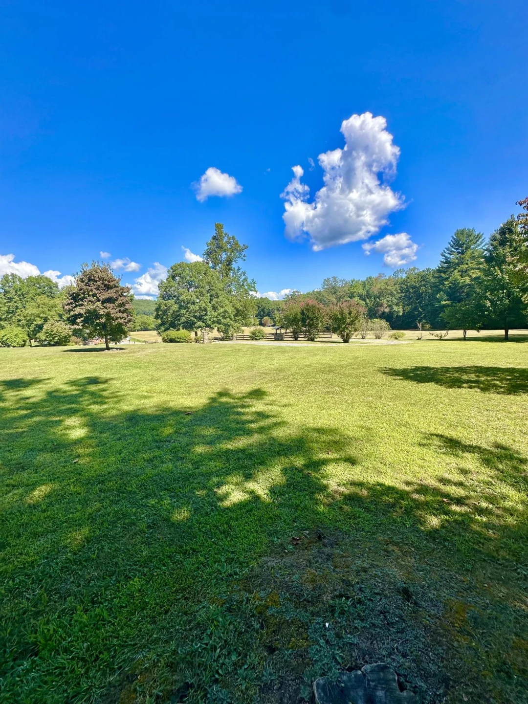 4801 Nicelytown RD - Photo 12