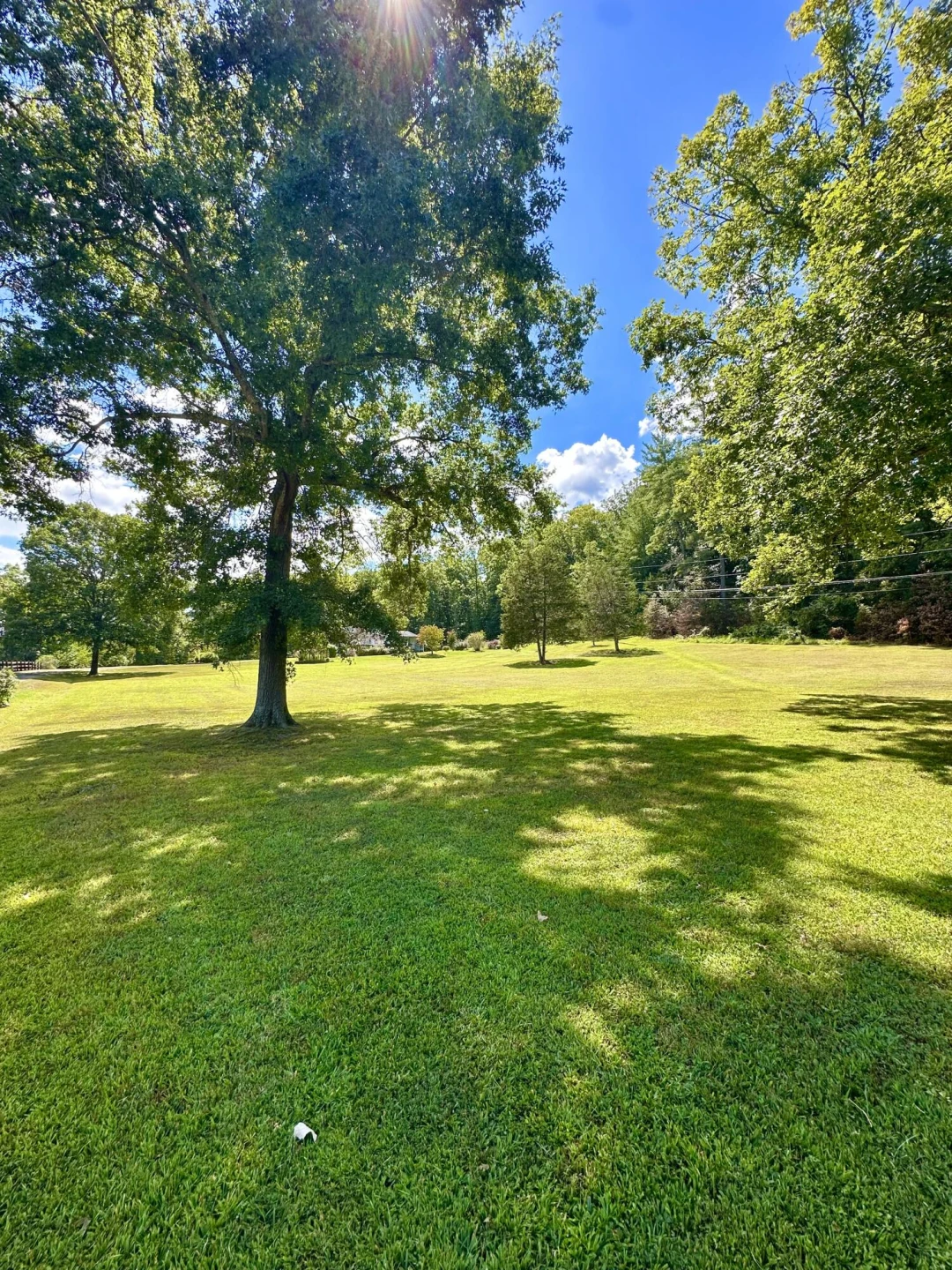4801 Nicelytown RD - Photo 72